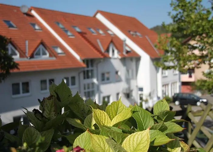 Hotel Leo Muehlhausen